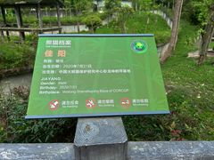 -中国大熊猫保护研究中心雅安碧峰峡基地