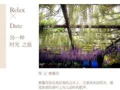 -嘉定紫藤园