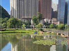 -花果园湿地公园
