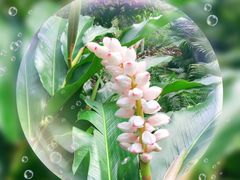 -呀诺达热带雨林