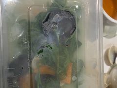 -顺德佬(石厦店)