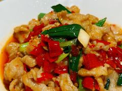 糟辣椒炒肉-贵州大厦贵州厅(樱花园西街店)
