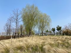 -上海山野camping·户外天幕烧烤·团建拓展营地
