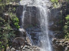 -九龙江国家森林公园