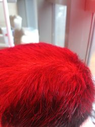 -碧莲盛·不剃发植发