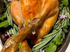 -Oyster Talks 四度蚝法餐厅