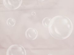 -蒲公英(五里店)