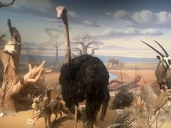 -陕西自然博物馆