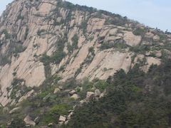 -鲁山国家森林公园