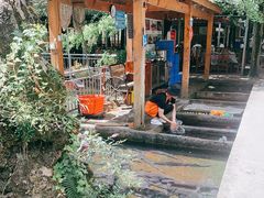 -源泉冷水鱼庄(小鱼洞店)