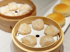 -金悦轩海鲜城(渔人码头店)