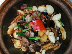啫啫黄鳝煲-大榕树下顺德菜(融创茂店)