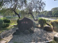 -金砂公园