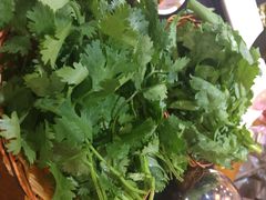 香菜-情忆草原涮肉馆