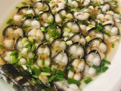 清蒸太湖河鳗-呼吸森林·生态农庄农家乐私房菜