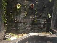 -一只烧鸡公(解放碑店)