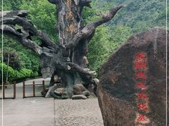 -龙湾潭国家森林公园