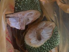 -三亚新鸿港水果一级批发市场