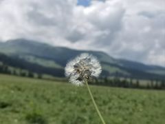 -新疆那拉提国家旅游度假区