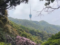 -梧桐山风景名胜区