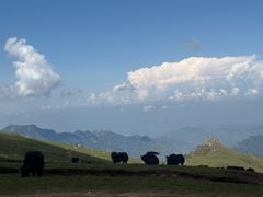 -灵山