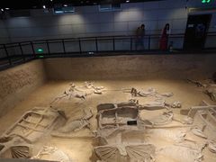 -洛阳周王城天子驾六博物馆