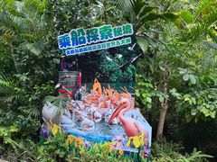 -广州长隆飞鸟乐园