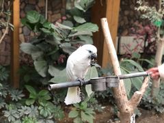 -南宫五洲植物乐园