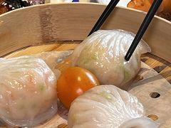 -点都德·毕德寮