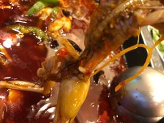 美蛙-自贡好吃客(科华店)