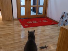 -壹人壹像工作室(购物公园店)