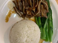 -初心烧鹅(粤华店)