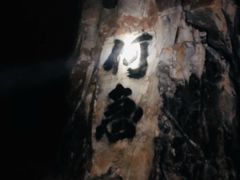 -仙蘑洞
