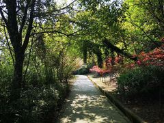 -桃花岛景观公园