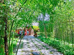 -洛阳白马寺