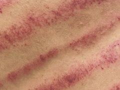 -承启堂中医馆·推拿·针灸(成华馆)