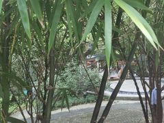 -嘉和K6温泉微度假