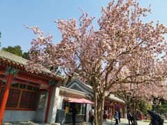 -北海公园-停车场