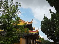 -江心屿景区