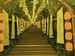 -秦岭天竺山生态文化旅游景区