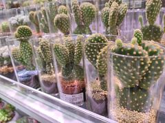 -KKV(深圳宏发大仟里店)