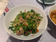 香菜炒牛肉-壹盏灯(惠农店)