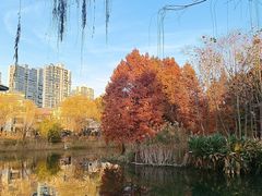 -白塘生态植物园
