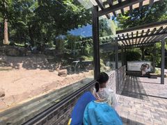 -都江堰中华大熊猫苑