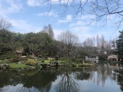 -杭州植物园