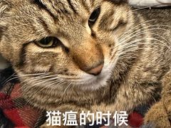 -虹泰宠物医院 ·旗舰店·24h(南秀路店)