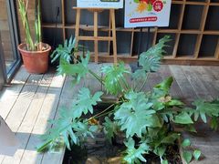 -邈墨茶馆(大兜路1号店)