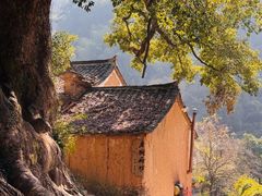 -杨家堂村