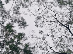-广州长隆野生动物世界