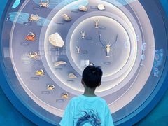 -中国湿地博物馆